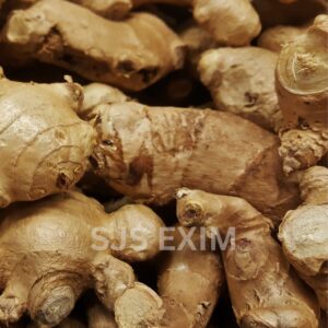 Ginger