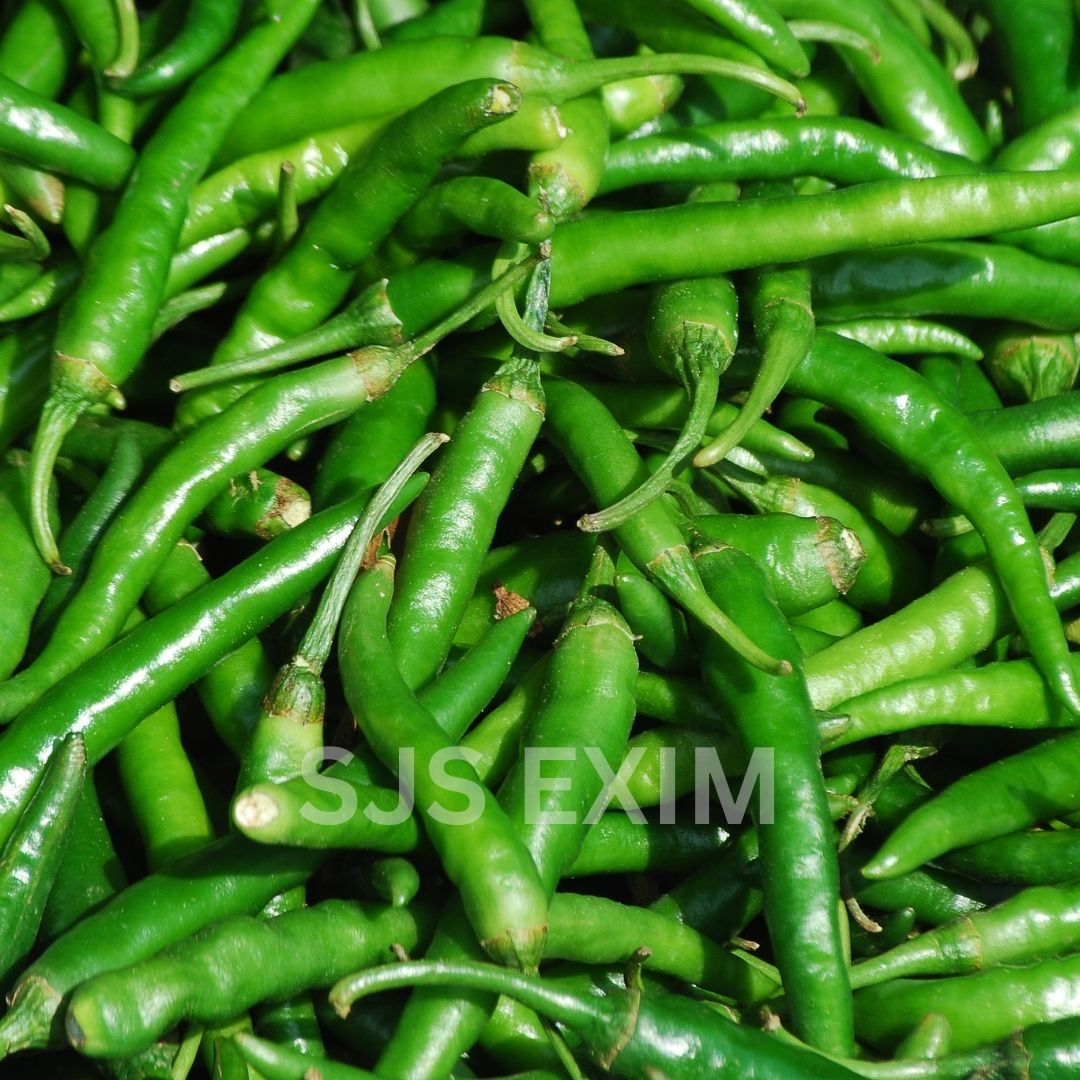 GREEN CHILLI