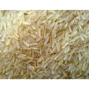 Pusa Basmati 1