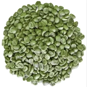 INDIAN ROBUSTA