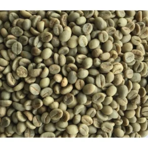 ROBUSTA PARCHMENT