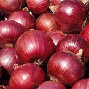 Onion